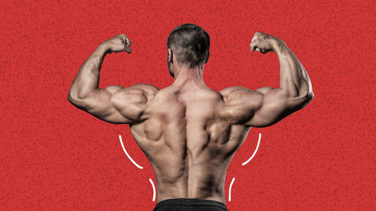 How to Build a Wide Back (V-Taper) 